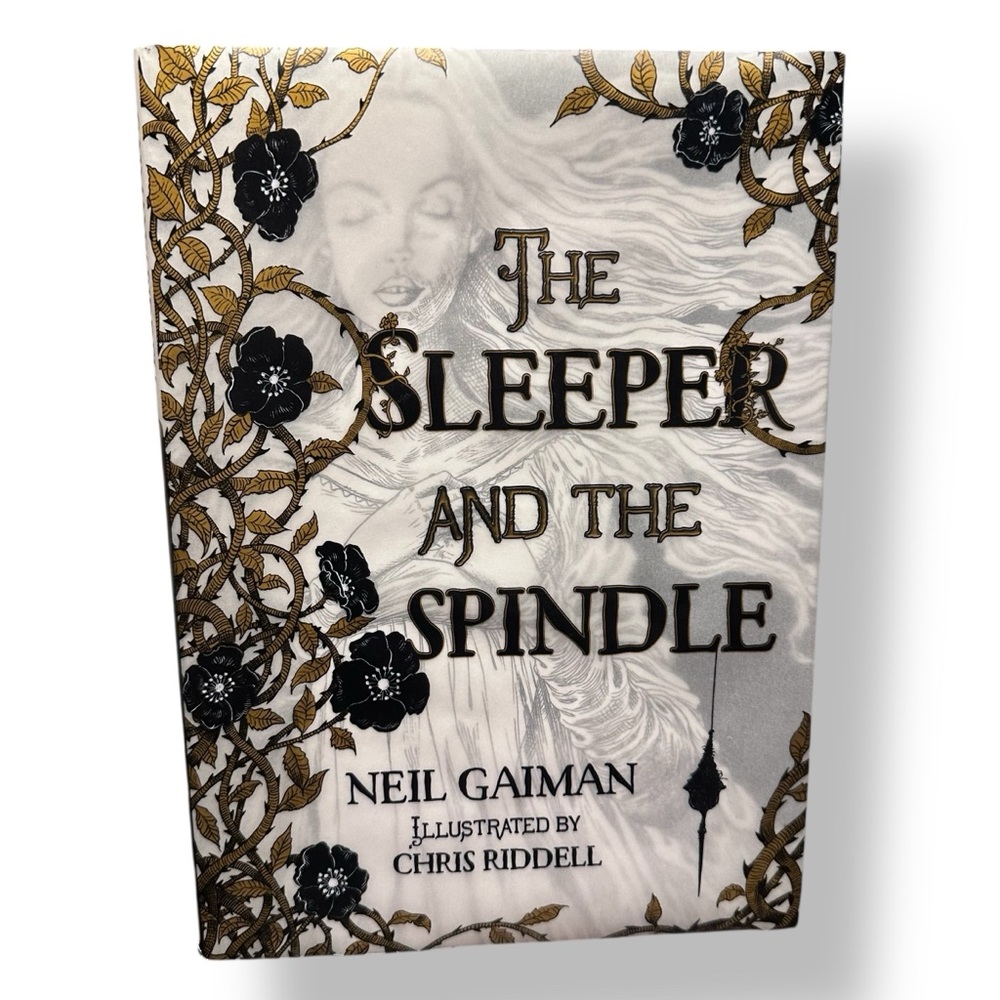 The Sleeper and the Spindle by Neil Gaiman — Illustrated by Chris Riddell 2014